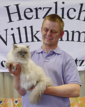 World Ch. A Delightful Cat Quincy