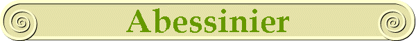 Abessinier