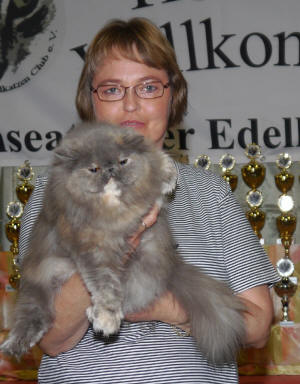 CFA CH/Gr.Int.Ch. Kikiland Folie B of Silverdance