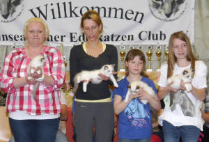 E-Wurf von den Gilmore Cats
