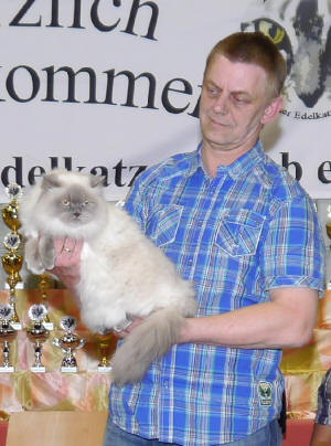 World Ch./Int.Pr. A Delightful Cat Quincy